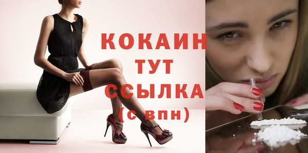 ешки Аркадак
