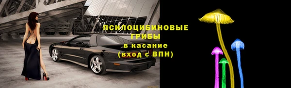 ешки Аркадак