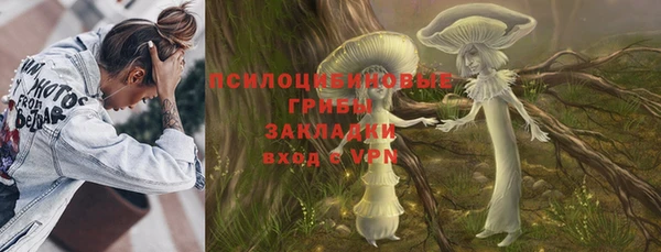 стафф Арсеньев