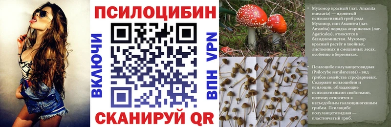 закладка  Зуевка  Псилоцибиновые грибы Cubensis 