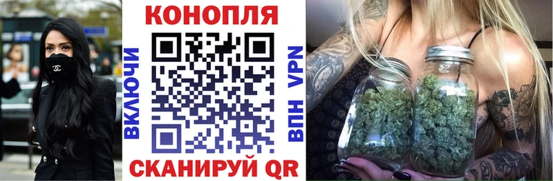 Каннабис Amnesia  Зуевка 
